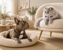 Charger l'image dans la galerie, Colliers CALIN Chien & Chat - EQUILIBRE