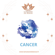 Charger l'image dans la galerie, Coffret Zodiaque LES PIERRES DU CANCER - I1728