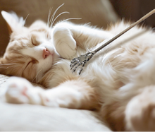 Charger l'image dans la galerie, Gratte-dos télescopique - Y1613 -