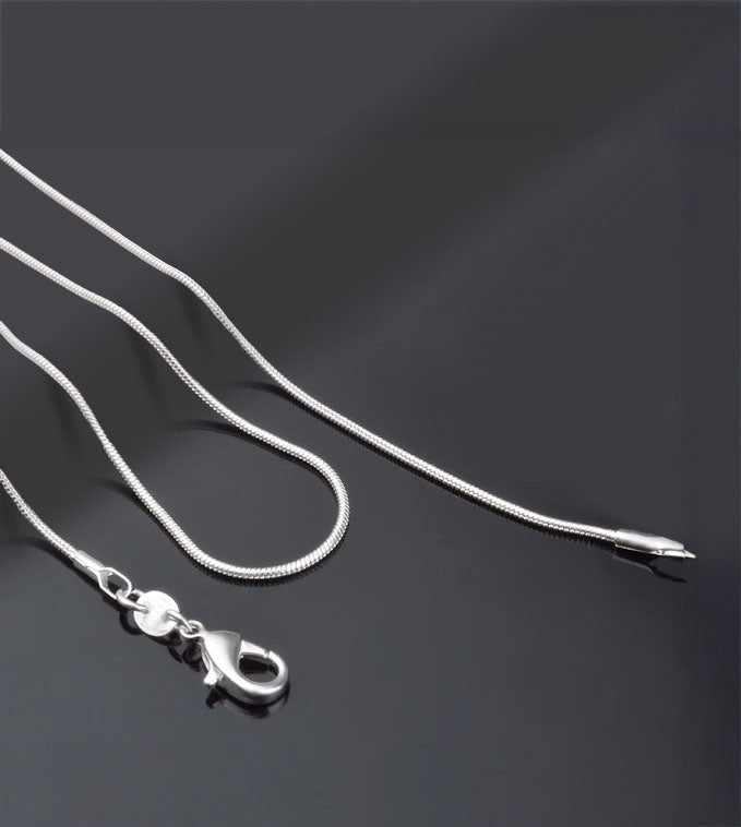 Collier Charm en Argent massif 925 - D1911 -