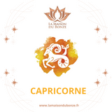 Coffret Zodiaque LES PIERRES DU CAPRICORNE - I1734