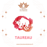 Coffret Zodiaque LES PIERRES DU TAUREAU - I1726