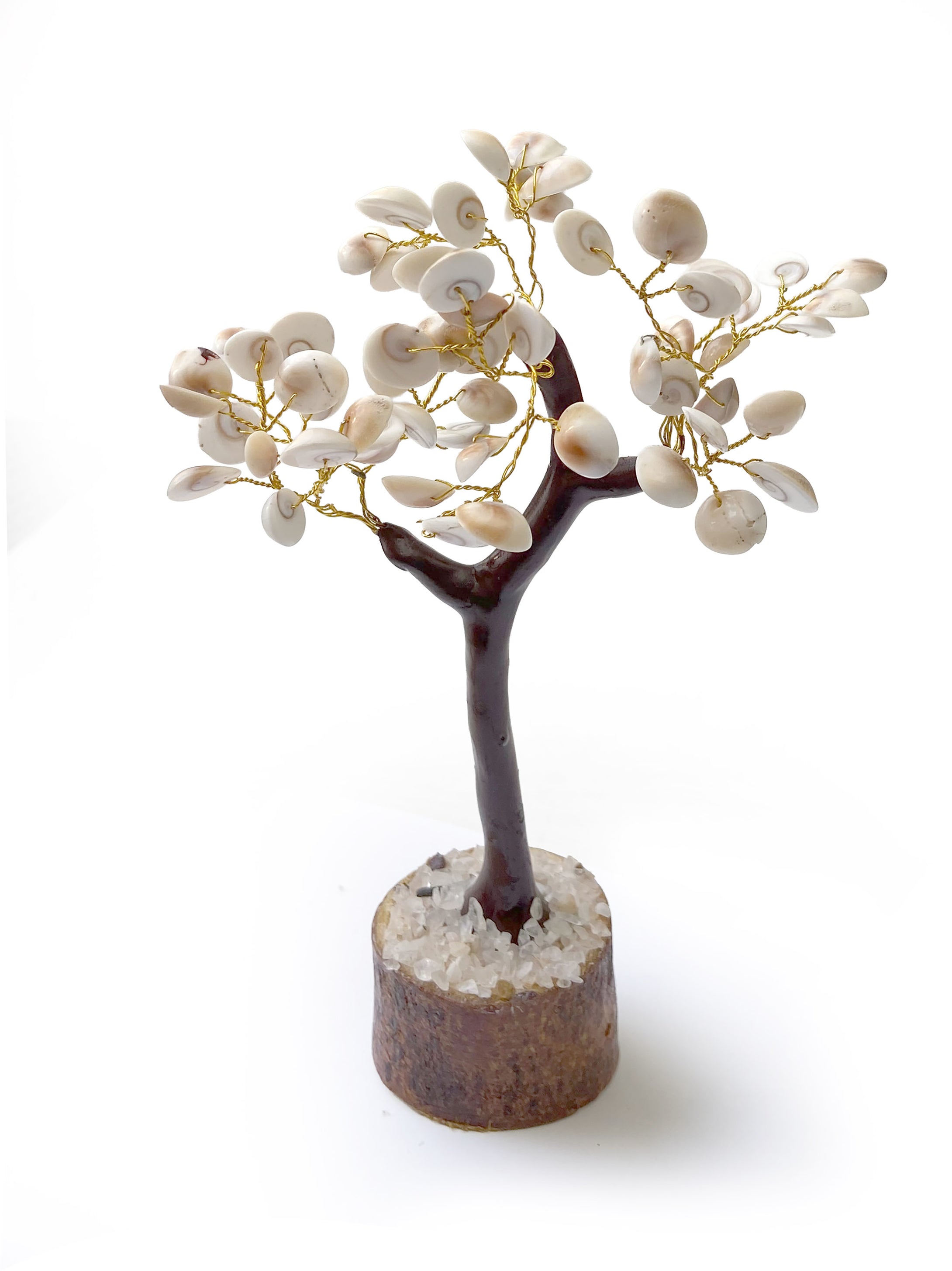 Arbre de Protection en Oeil de Sainte Lucie - Y1923 -