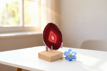 Charger l'image dans la galerie, Tranche Agate Rouge éclaircie sur présentoir
