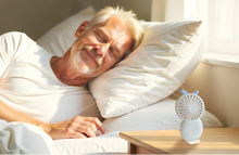 Charger l'image dans la galerie, Ventilateur Zephir - Y1771 -
